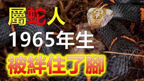 1965年屬蛇|【1965屬什麼】1965屬什麼？一文詳解屬蛇者運勢、。